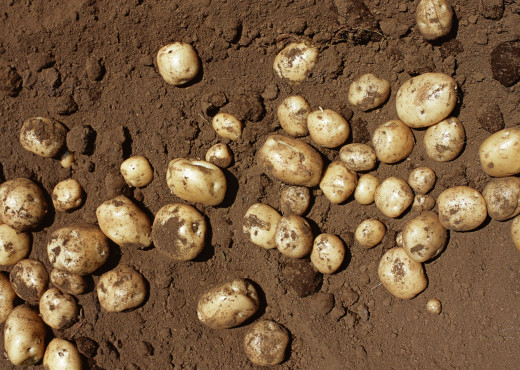593648 (a): :2950x2094